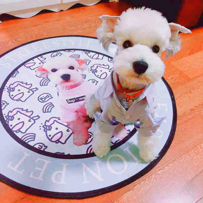 Custom Photo Dog Pad Washable Dog Bed Mat Personalized Pet Mattress