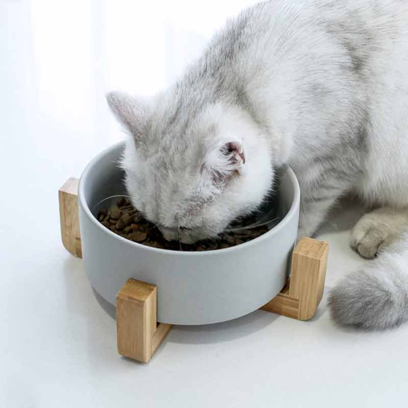 Elevated Dog Bowls Ceramic Raised Pet Feeder With Stand