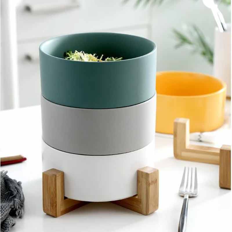 Elevated Dog Bowls Ceramic Raised Pet Feeder With Stand