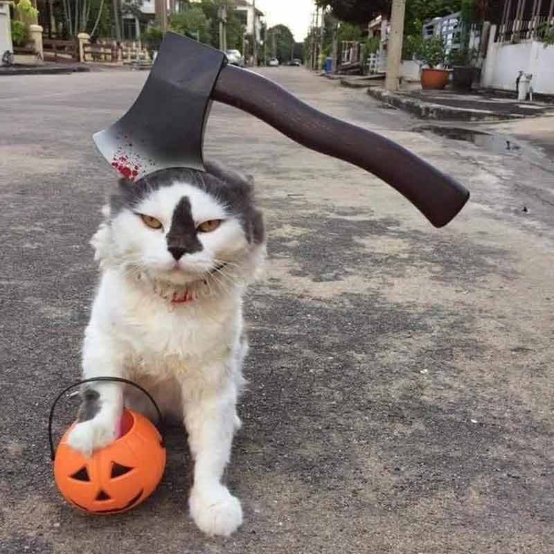 Halloween Pet Costume Axe Cap Tricky Props Accessories