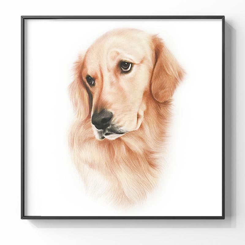 Pet Portrait Custom Sketch Portrait Memorial Pet Painting