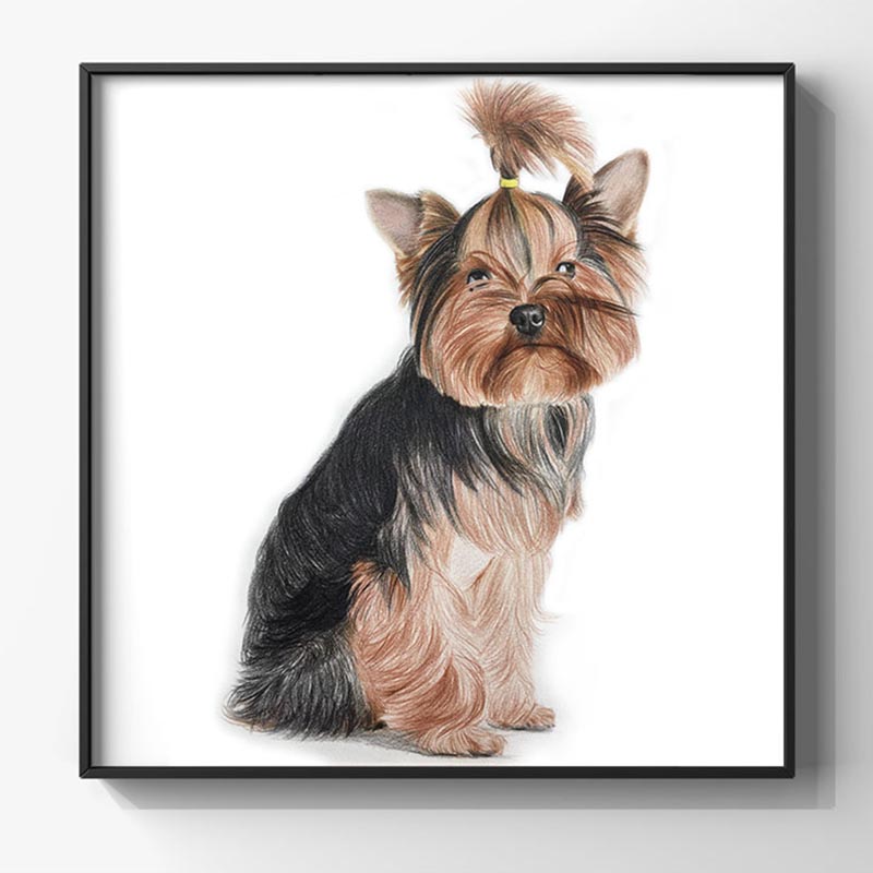 Pet Portrait Custom Sketch Portrait Memorial Pet Painting