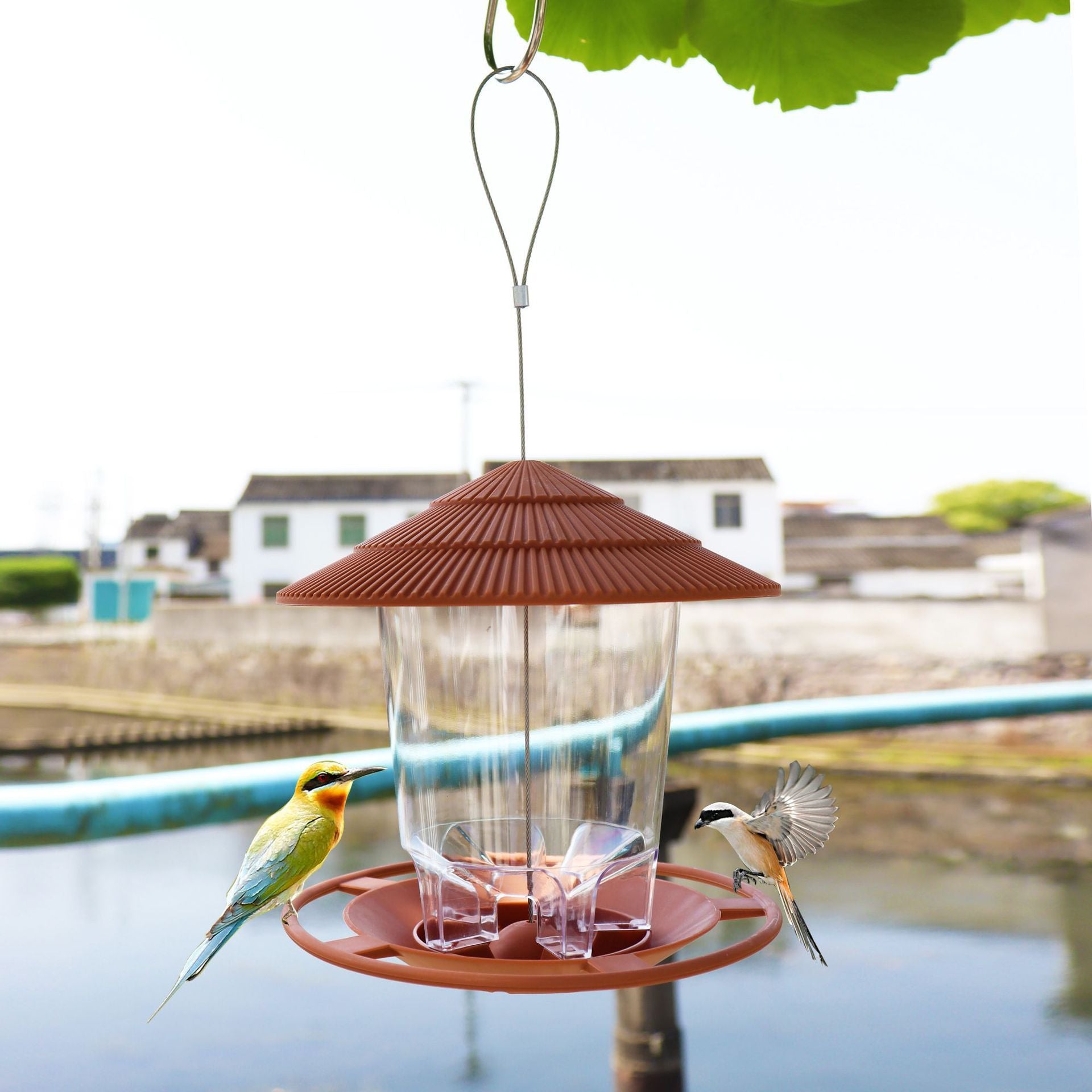 Home - Wild Bird Feeder and Accessory Store