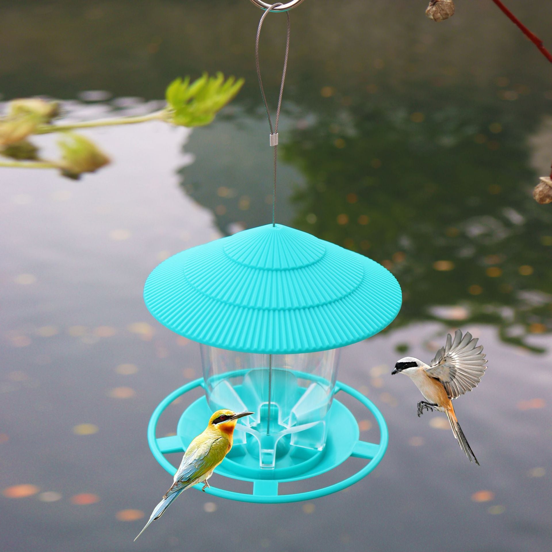 Wild Bird Feeders House Shaped ABS Plastic with Easy Fill Lid  Hanging Bird Feeder for Outside